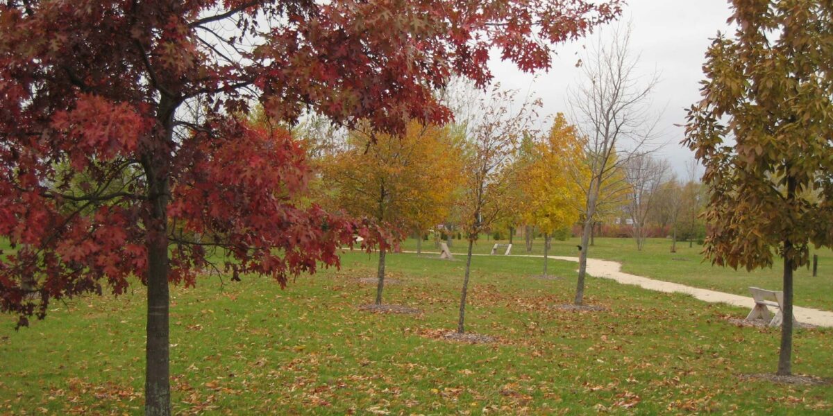 arboretum in the fall
