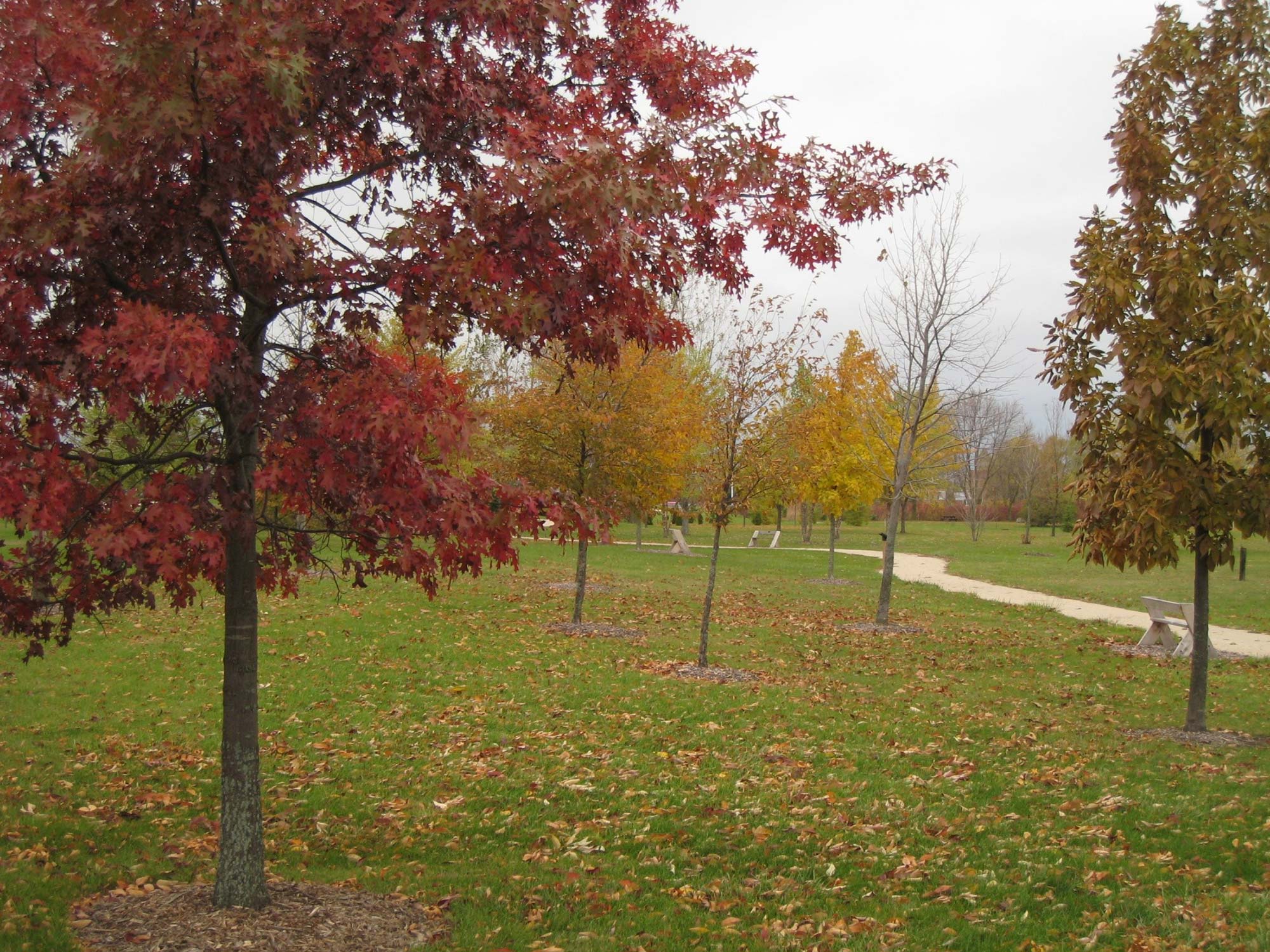 arboretum in the fall